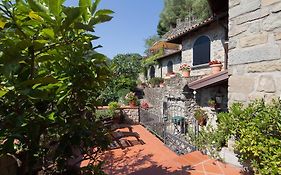 B&B La Pulce Dorata